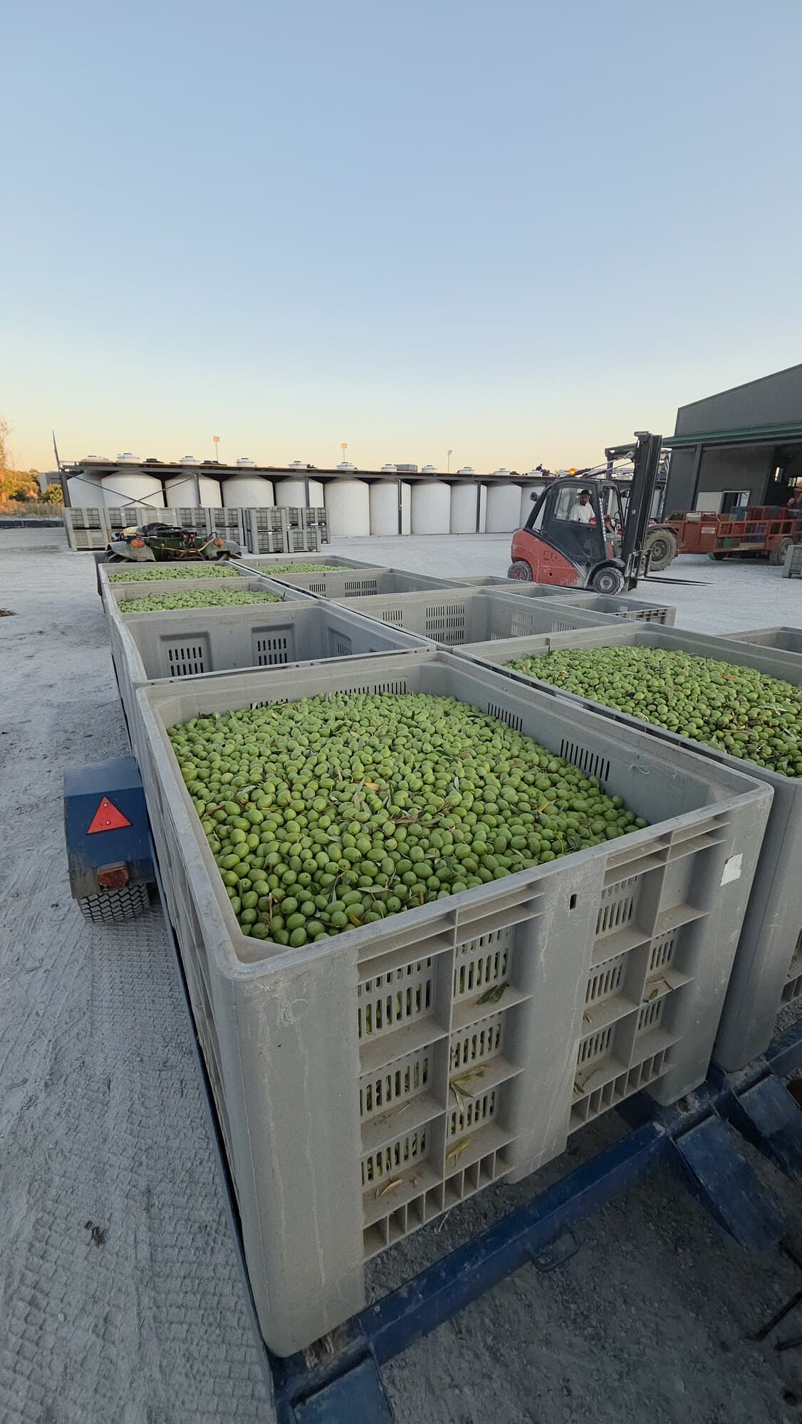 Stabilimento e vasche di fermentazione